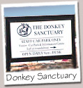 The Donkey Sanctuary is next door